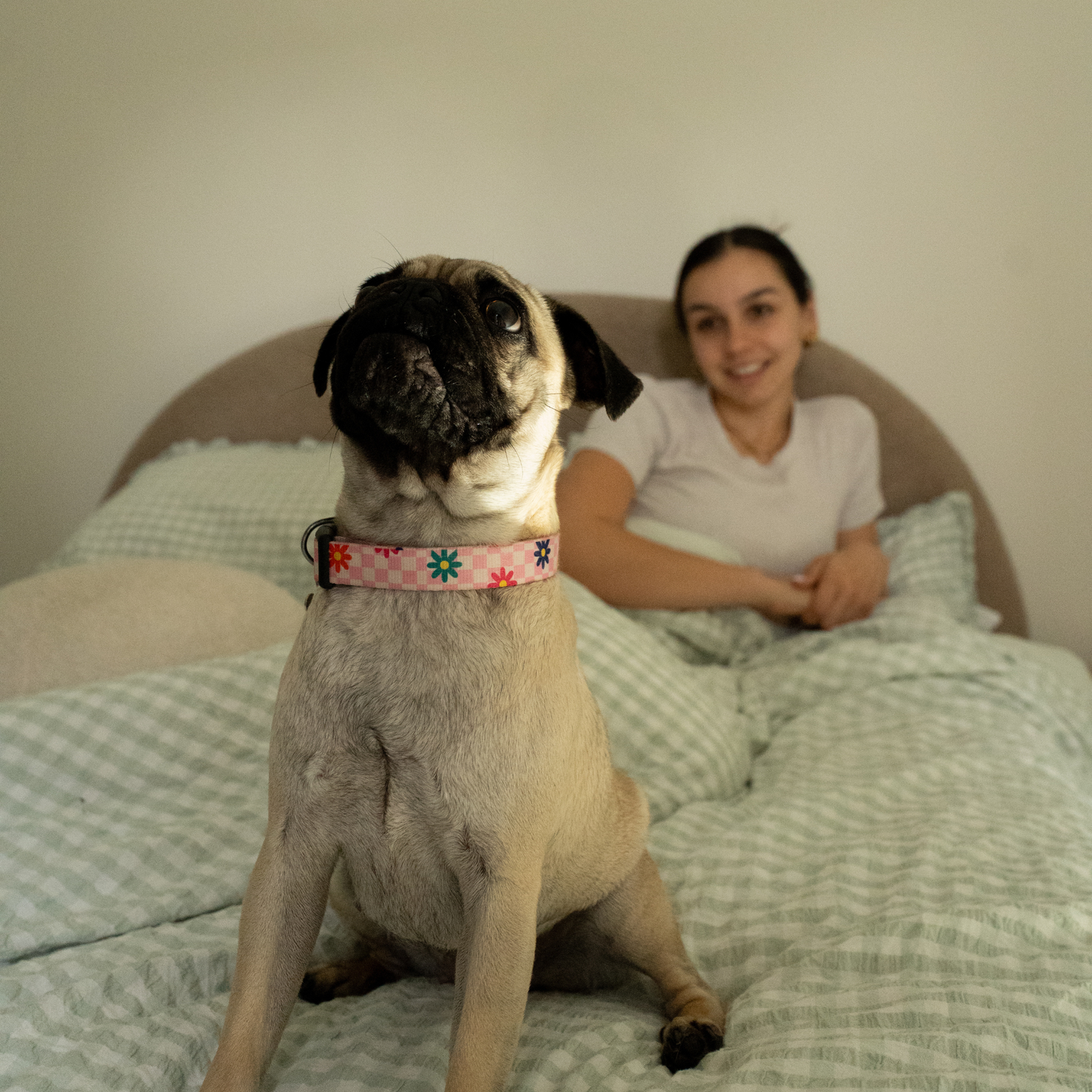 Desktop Red-light Portable Panel